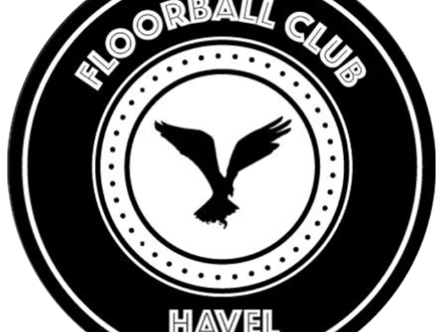 https://floorball-mfbc.de/wp-content/uploads/2020/07/Logo-Havel-640x480.png