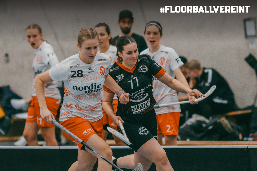 2025-11-06 BL D - HP 2 2025-11-06 BL D - HP 2