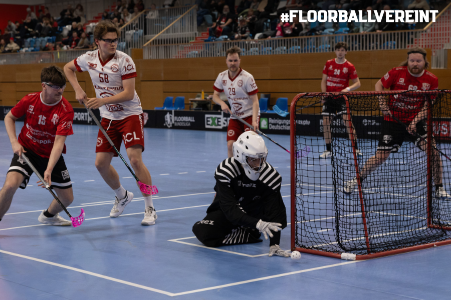 2026-01-25 BL H - HP 2 2026-01-25 BL H - HP 2