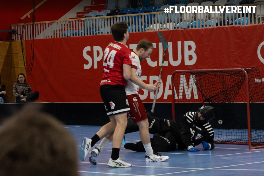 2026-01-25 BL H - HP 3 2026-01-25 BL H - HP 3