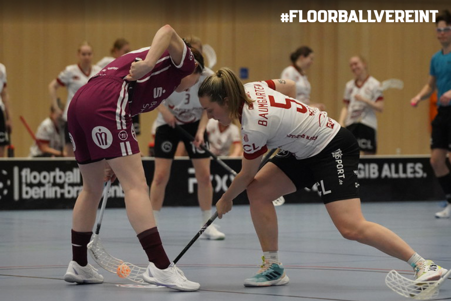 2026-01-26 BL D - HP 3 2026-01-26 BL D - HP 3