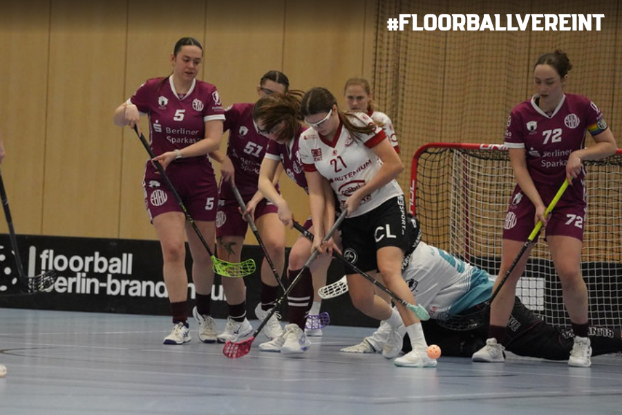 2026-01-26 BL D - HP 5 2026-01-26 BL D - HP 5